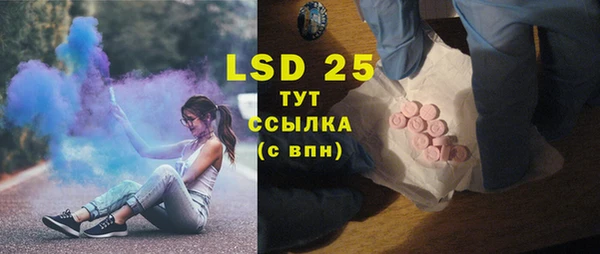PSILOCYBIN Богородицк