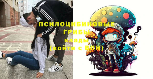PSILOCYBIN Богородицк