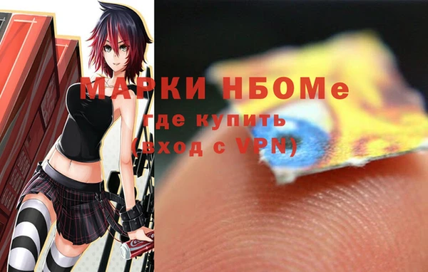 дмт Богородск