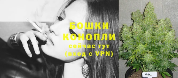 крисы Богданович