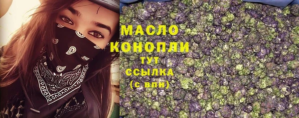 дмт Богородск