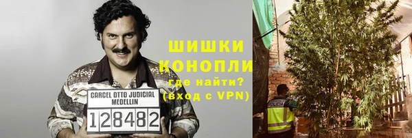 крисы Богданович